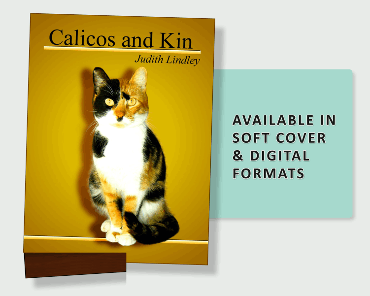 On Older Cats 1st Edition by Judith Lindley