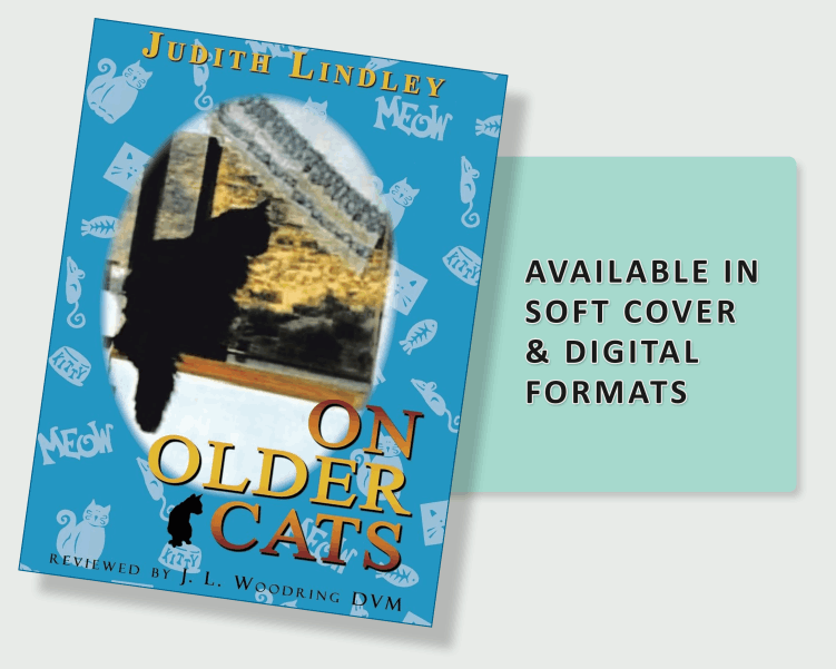 On Older Cats 1st Edition by Judith Lindley