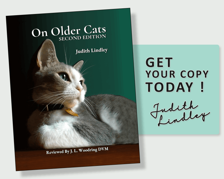 On Older Cats 1st Edition by Judith Lindley